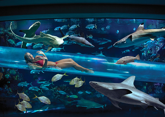Piscina Golden Nugget LasVegas