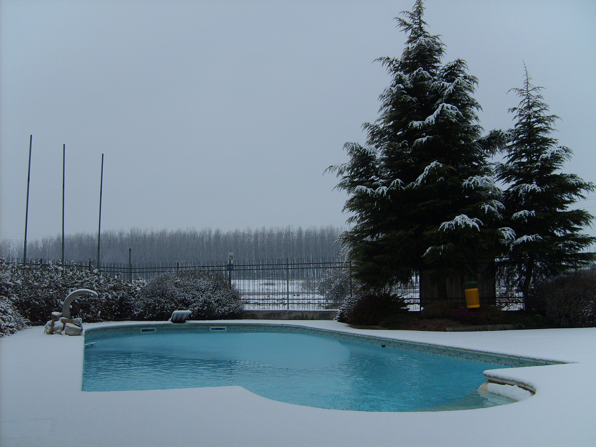 4 idee per abbellire la tua piscina per le feste